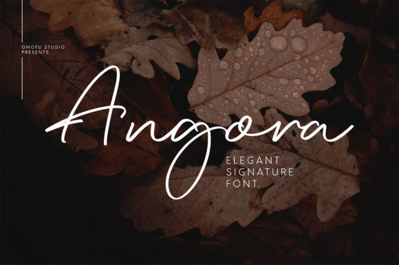 Angora: The Handwritten Typeface That Elevates Digital Branding
