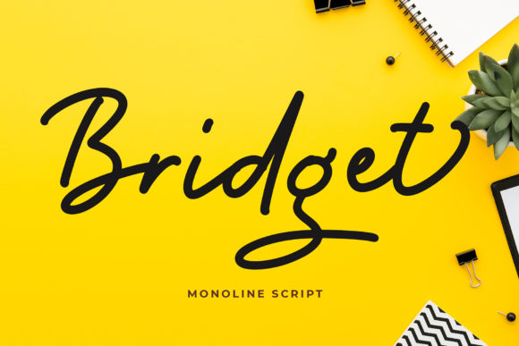 How Bridget Typeface Transformed My Small Business Brand