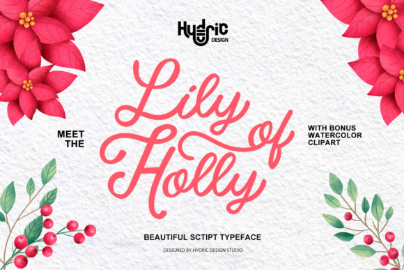 Lily of Holy: The Elegant Handwritten Typeface for Handmade Brands